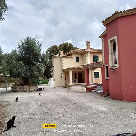 Corfu-aris *